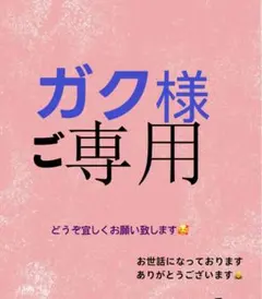 ガク様 ご専用　リクエスト 3点 まとめ商品