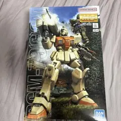 未組立てガンプラ MG陸戦型ジム