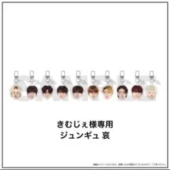 【きむじぇ様専用】TREASURE ジュンギュ 哀