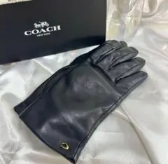 2025年最新】COACH 手袋・アームカバーの人気アイテム - メルカリ