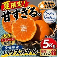 みかんバカのクール便で！夏限定 愛媛県産 大玉ハウスみかん たっぷり5Kgのサムネイル