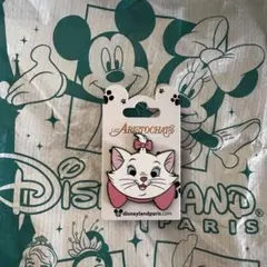 2025年最新】ディズニーパリ限定ピンバッジの人気アイテム