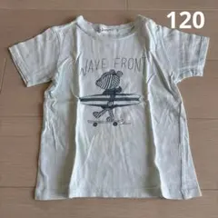 ワールド　Tシャツ　120 くま、水色