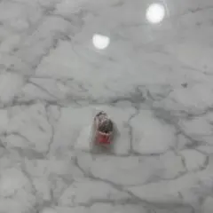 即発❣️ ミルモでポン！ めじるしアクセサリー　ヤシチ