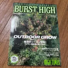 BURST HIGH バーストハイ　全部売り 2025年最新】Burst high 雑誌の人気アイテム - メルカリ