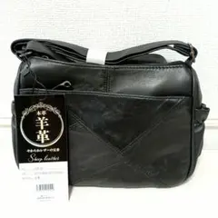 Item thumbnail for item 8e05977a-15ed-415f-892a-f73a9cfa96f7