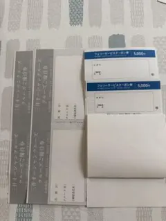 商船三井　株主優待　フェリーサービス共通クーポン券 5000円✕2枚のサムネイル