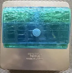 新品未使用nothing to hide vinyl card coincase