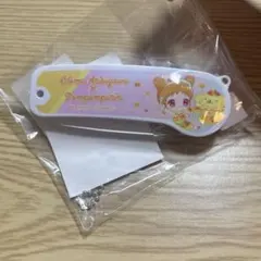 アイカツ！ サンリオキャラクターズ 有栖川 おとめ