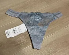 ブラデリス　ヴィオラタンガ　Mサイズのサムネイル