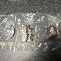 ツイステッドワンダーランド サバナクロー寮 レオナ・キングスカラー