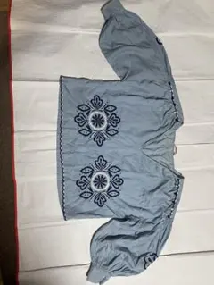 日曜日迄500円引き　ZARA 水色　刺繍ブラウス