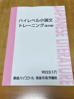 ハイレベル小論文トレーニング (基本編)