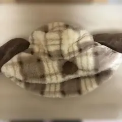 ユニーバーサルスタジオジャパン スヌーピーバケットハット USJ