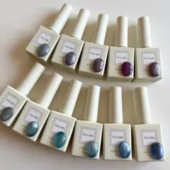 【11点セット】ジェルネイル ネイルアート マグネットジェルネイル