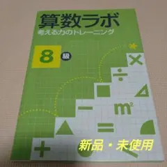 【新品・未使用】算数ラボ 考える力のトレーニング 8級