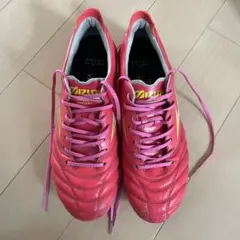 モレリアネオ4 Japan