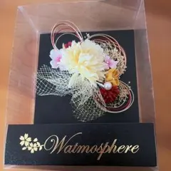 成人式　卒業式　振袖　袴　髪がさり