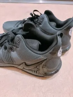 Item thumbnail for item cae81f23-5135-4272-885b-5496c0bf9d47