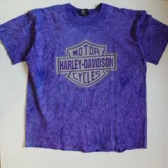 Item thumbnail for item 6f26eb92-3dbf-48eb-ad77-1753aa9f6889