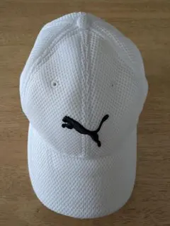 Item thumbnail for item bac79351-9bef-41e8-8361-9790f8d0f624