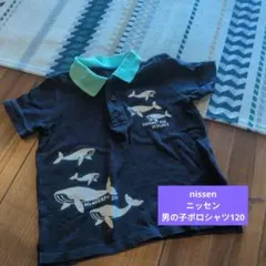 ポロシャツ 長袖 トップス