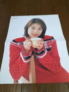 内山理名さん　ミニポスター