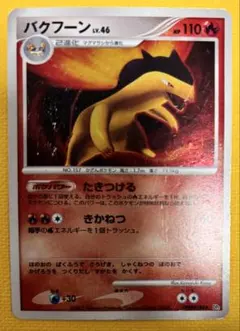 匿名送料込バクフーン　2007年