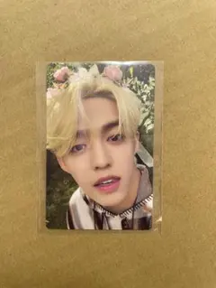 SEVENTEENTH HEAVEN エスクプス 花冠 トレカ