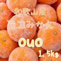 和歌山産　皮付き　冷凍みかん　1.5kgのサムネイル