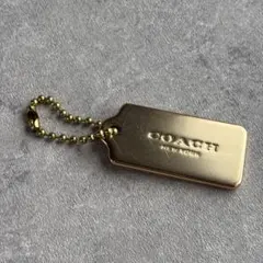 Item thumbnail for item 72bc7e41-03b5-4bcc-b2a3-575e27ece346