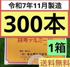 イトオテルミー　テルミー線50本　中古線香バサミ内管外管各6本 イトオテルミー テルミー線50本 中古線香バサミ内管外管各6本 2025
