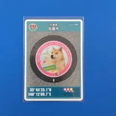 マンホールカード 千葉県 佐倉市 B 009 かぼすちゃん