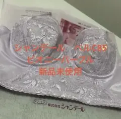 2026年最新】シャンデール ブラジャーe85の人気アイテム - メルカリ