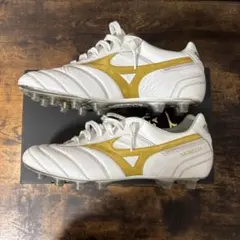 2026年最新】モレリア2japanの人気アイテム - メルカリ