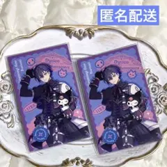 【Dytica×サンリオキャラクターズ】ランダムフォト風カード 小柳ロウ N2枚