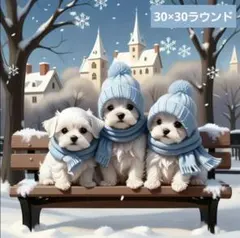 No 6269　ダイヤモンドアートキット　未使用品