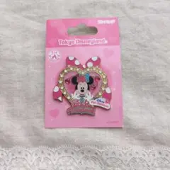 2026年最新】パルパル ミニー 缶バッジの人気アイテム - メルカリ