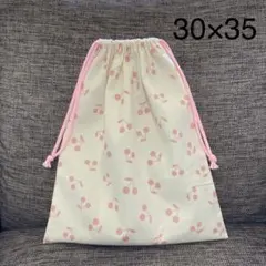 Item thumbnail for item 786bc685-c1a7-408b-9257-843e6ade480f