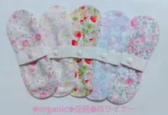 Item thumbnail for item b4ca1494-d0ef-4677-b11d-8cd0c96858cf