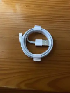 純正品 iPhone Apple ライトニングケーブル 充電