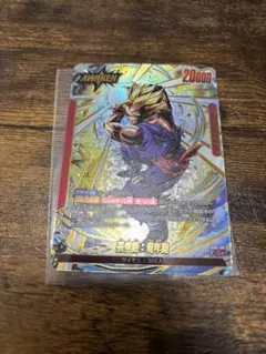 孫悟飯　青年期　リーダーパラレル　FB08-001