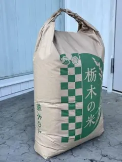 やよぽん様専用