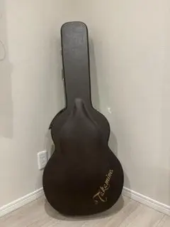 2026年最新】takamine ギターケースの人気アイテム - メルカリ