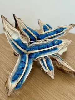 2026年最新】タビビトノキの人気アイテム - メルカリ