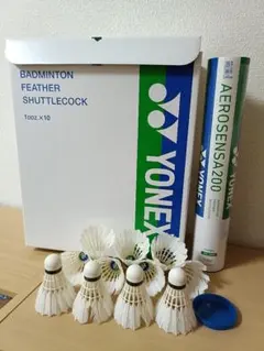 Item thumbnail for item f103cceb-5020-469e-921c-7a41577453cd