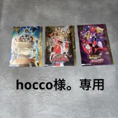 hocco様。専用　スーパー戦隊シリーズ