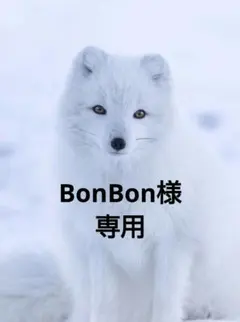 BonBon様専用