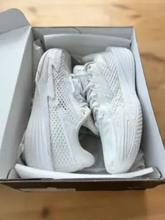 Li-Ning WADE FLASH 2 26.5 US9 whiteのサムネイル