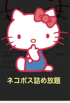 ネコポス　詰め放題